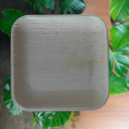 6" Square Areca Palm leaf Plate - Pack of 25