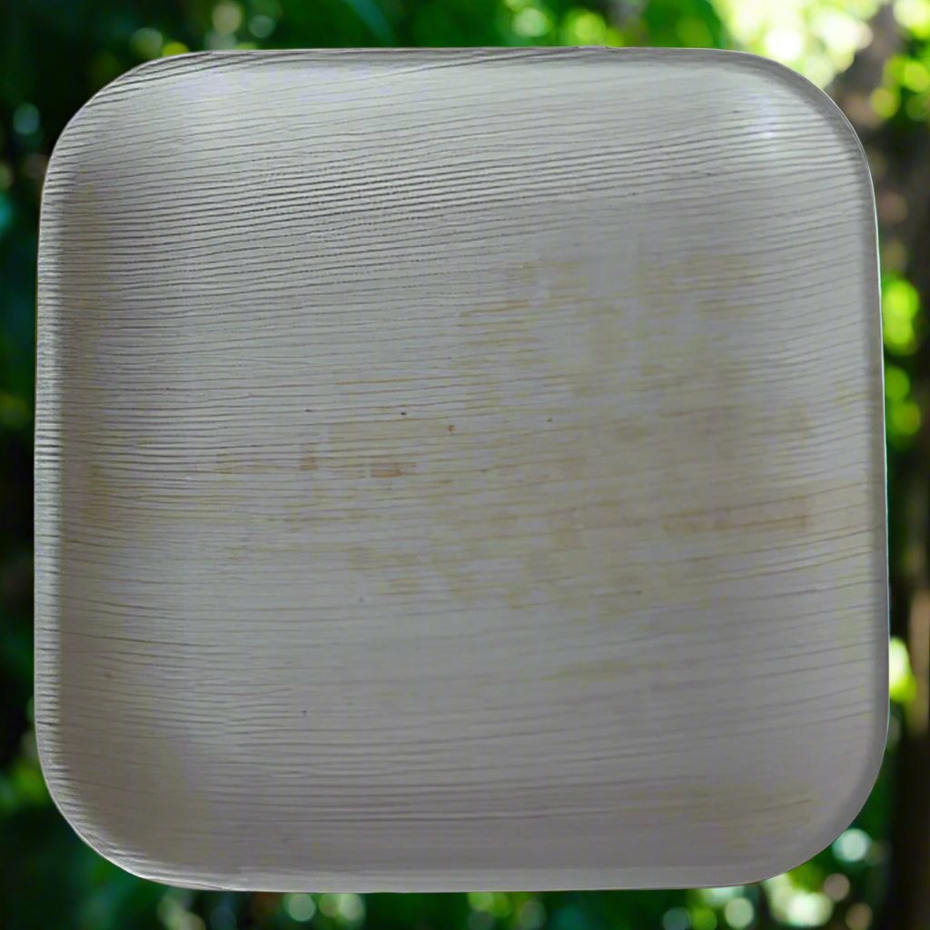 9" Square Areca Palm leaf Plate - Pack of 25