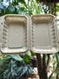 Rectangular Clamshell Cornstarch Eco-friendly Take away containers-Pack of 25